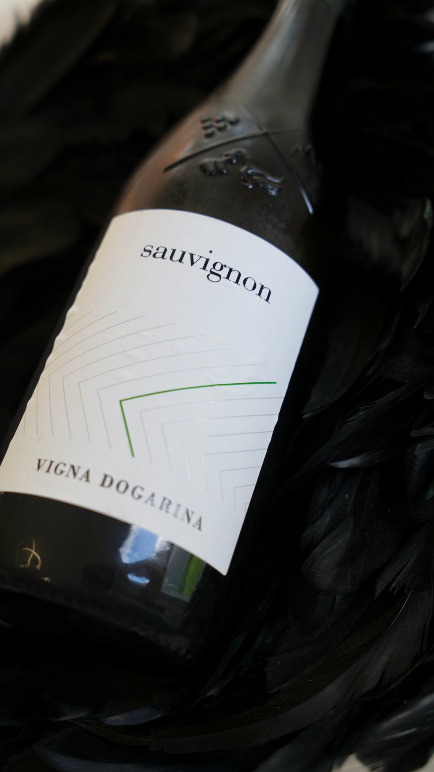 Sauvignon Dogarina IGT