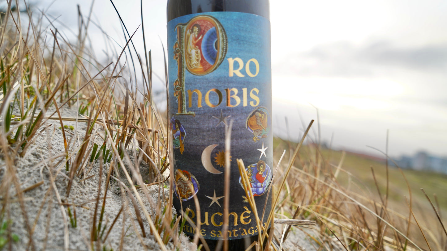 Ruche di Castagnole Pro Nobis DOCG